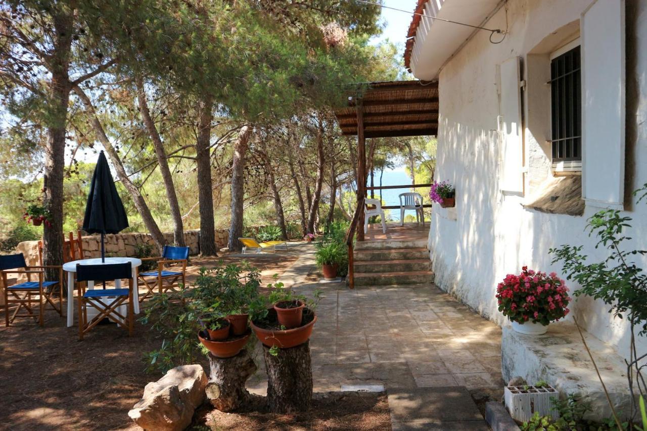 Villa Buonumore Porto Pino Exterior photo