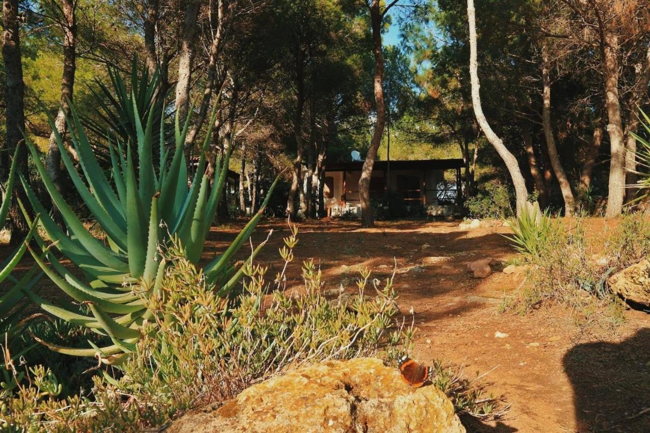 Villa Buonumore Porto Pino Exterior photo